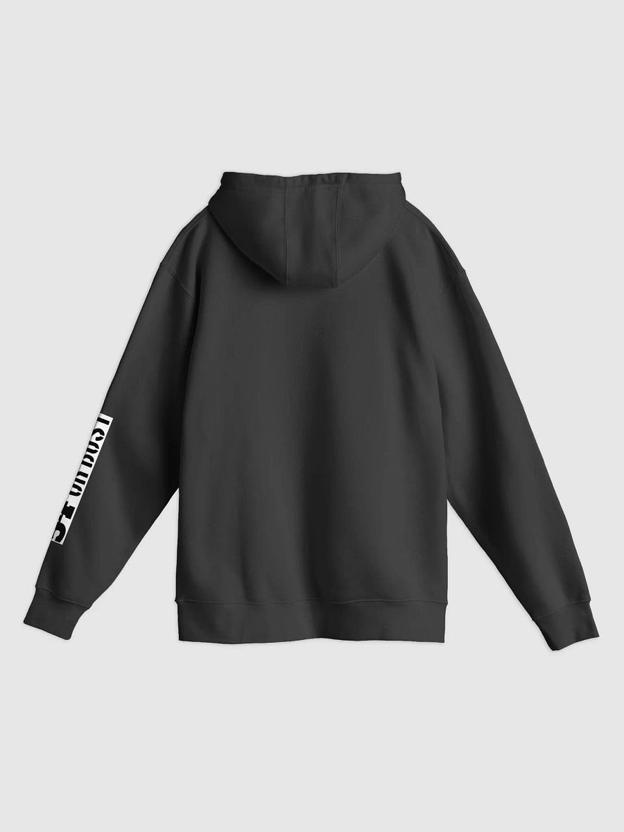 54 or Bust Premium Unisex Hoodie product image (4)
