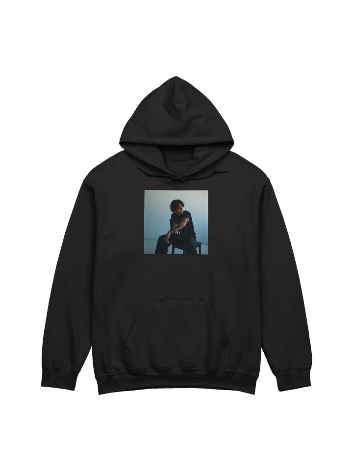 DAVID LEE HEAVY BLEND HOODIE product image (1)