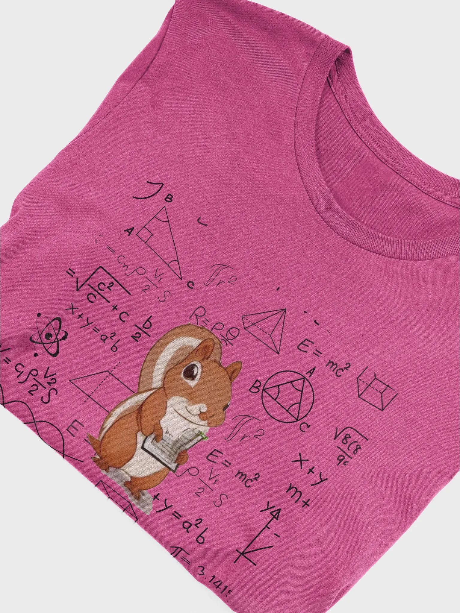 Squirrel Math product image (6)