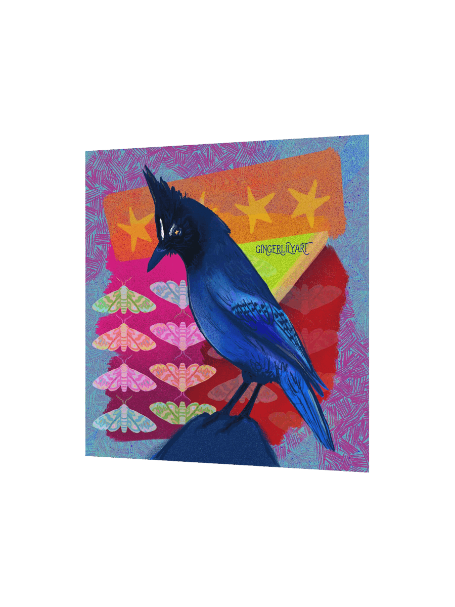 steller's jay print product image (6)