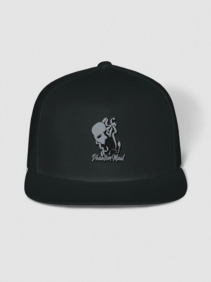Grey & Black Logo Snap-Back product image (1)