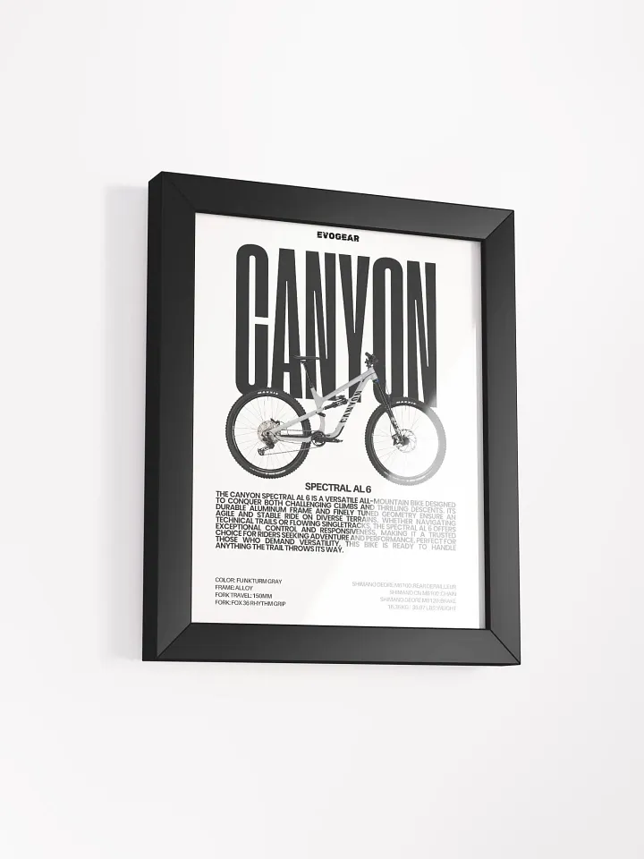 Canyon Spectral AL 6 Frame product image (2)