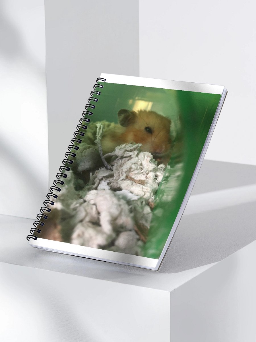 Nugget Notebook product image (3)