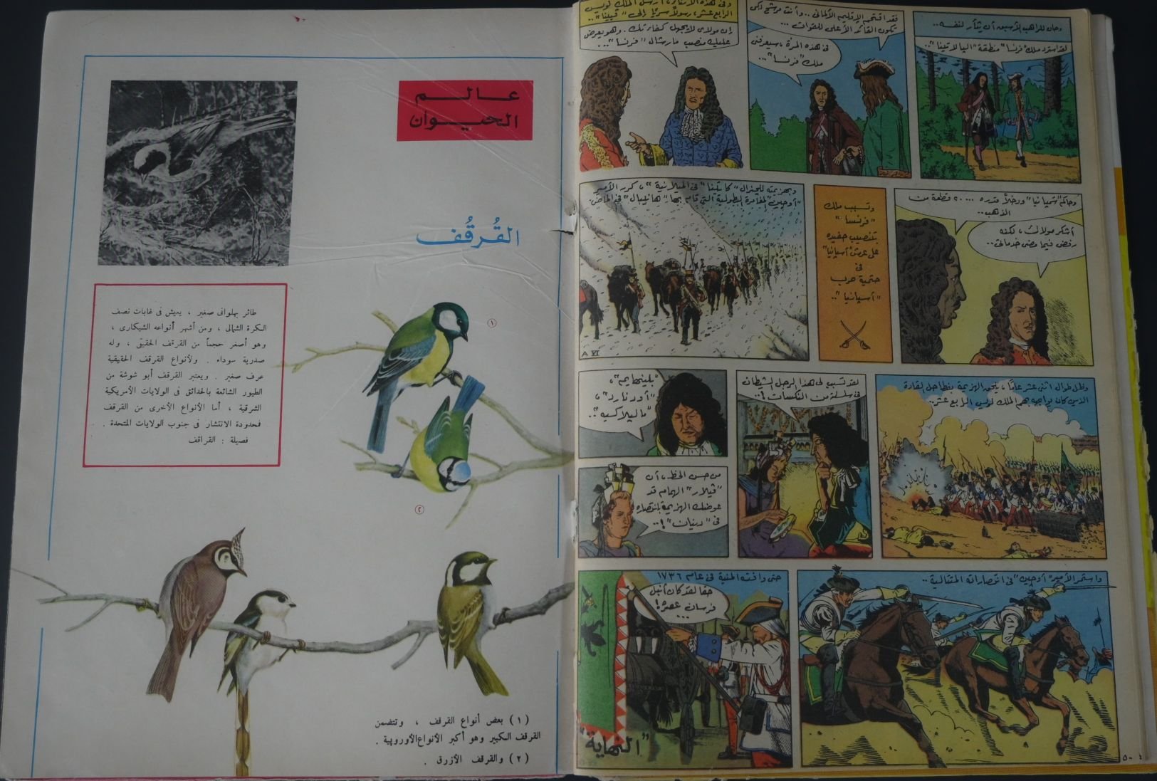 مجلد مجلة تان تان عام 1975 (المجلد الثامن والاربعون) product image (3)
