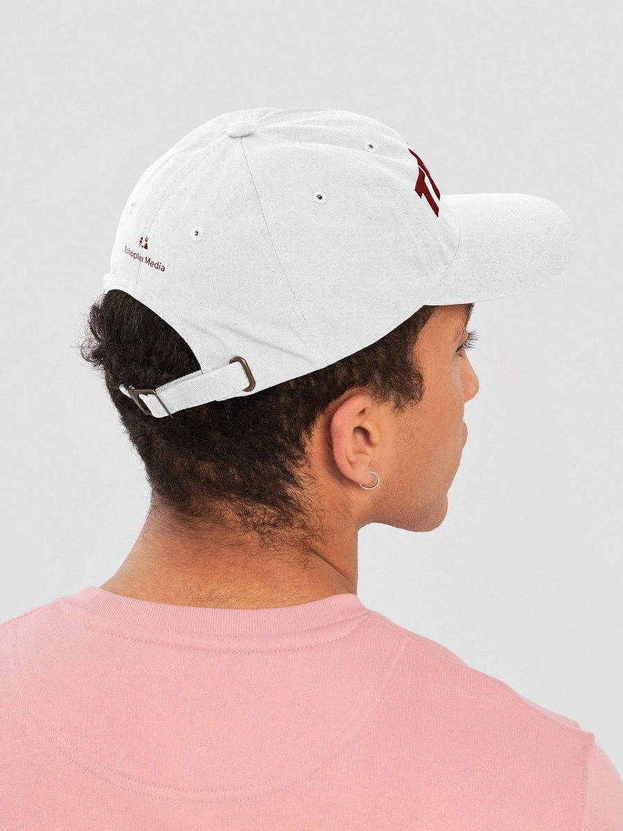 Tinfoil Hat Maroon On White product image (8)