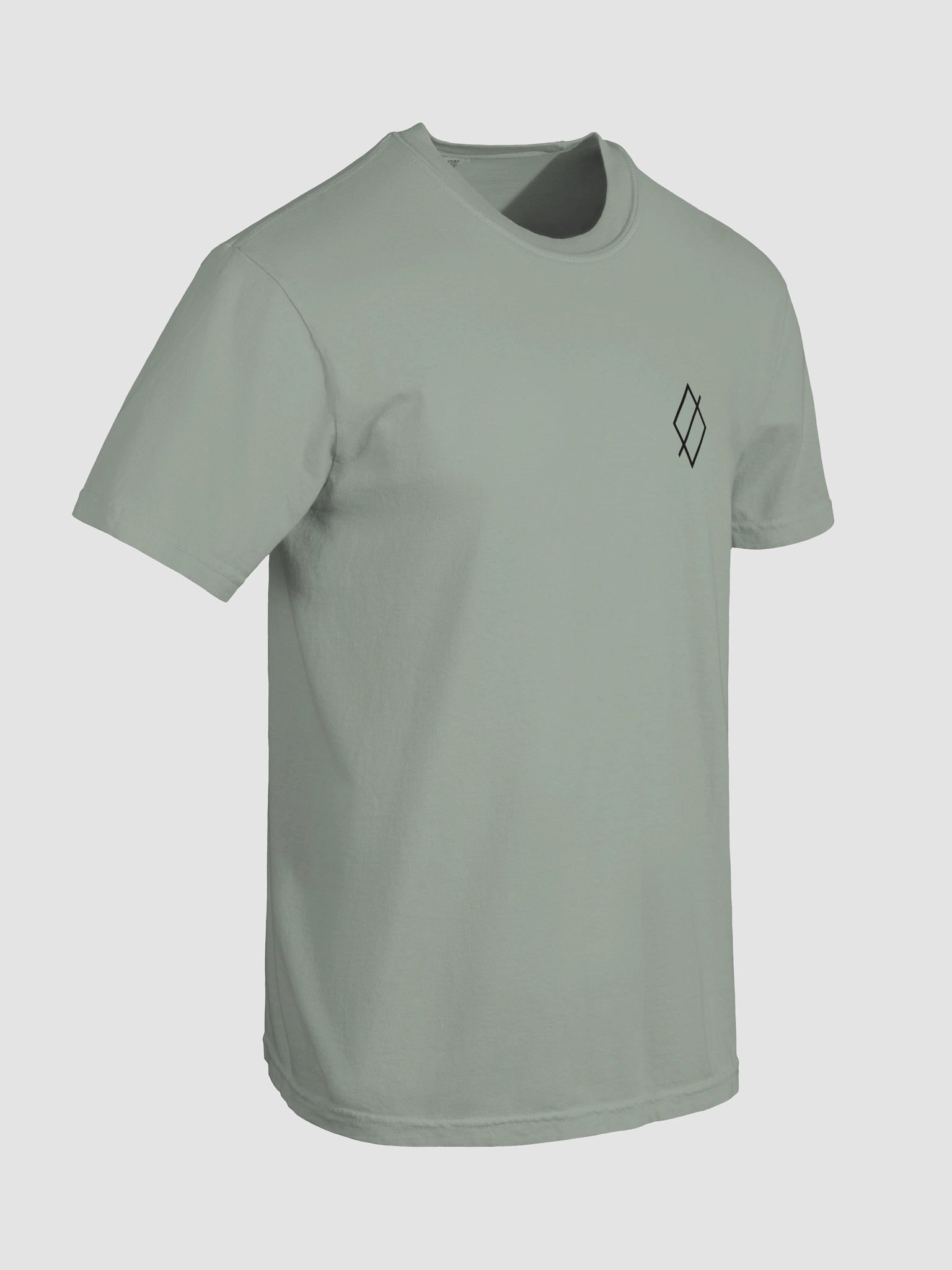 DEVOID Stylized Zion Tee (Black Logo) product image (8)