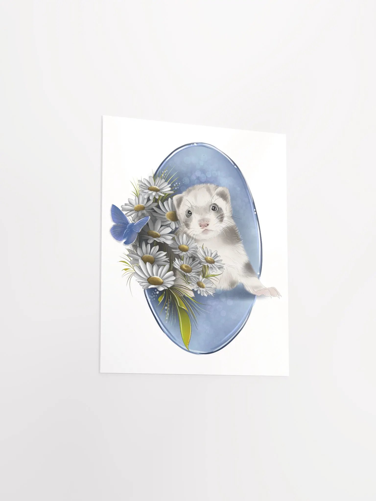 Ferret product image (7)