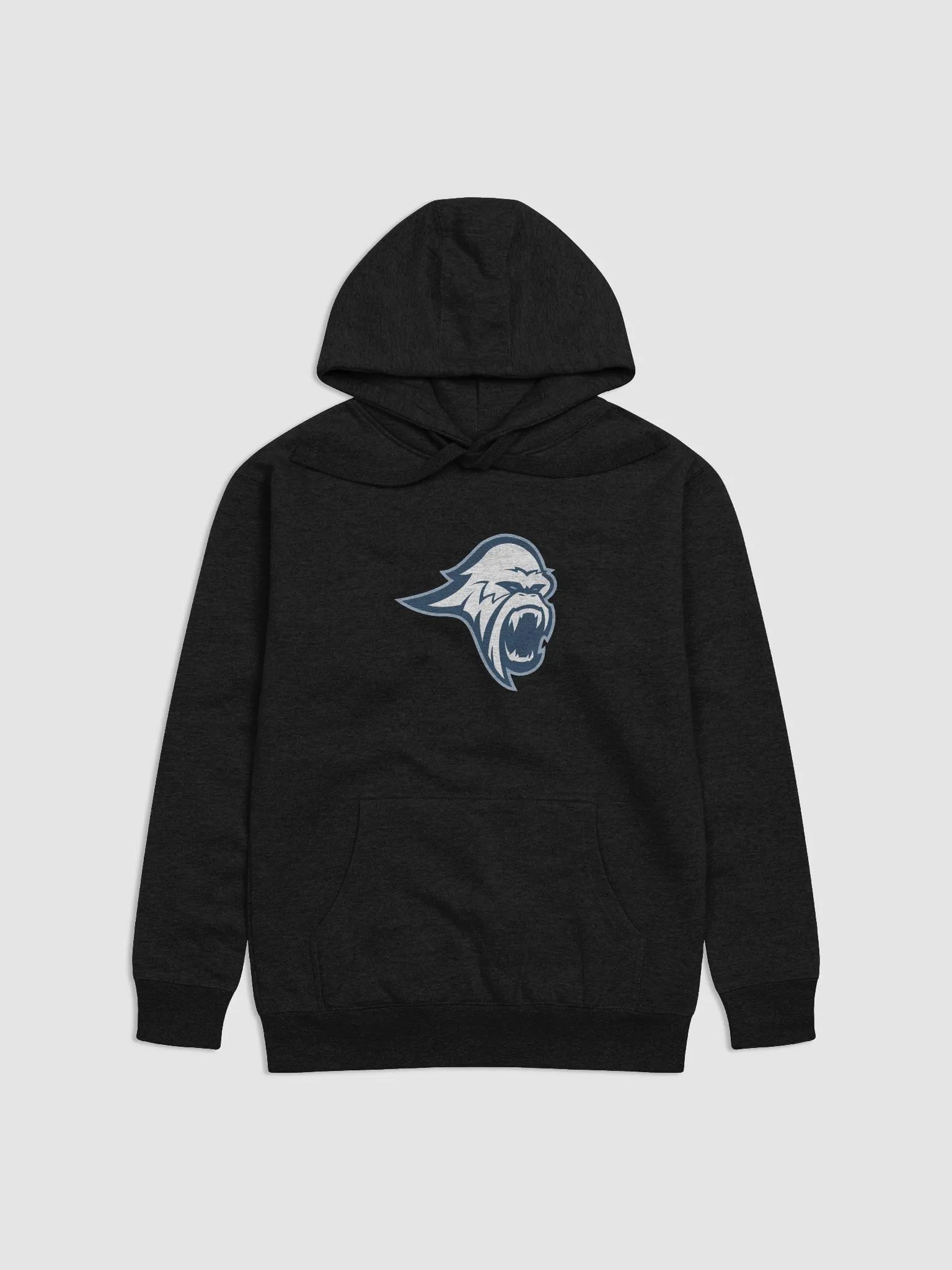 Blizzard Premium Unisex Hoodie product image (3)