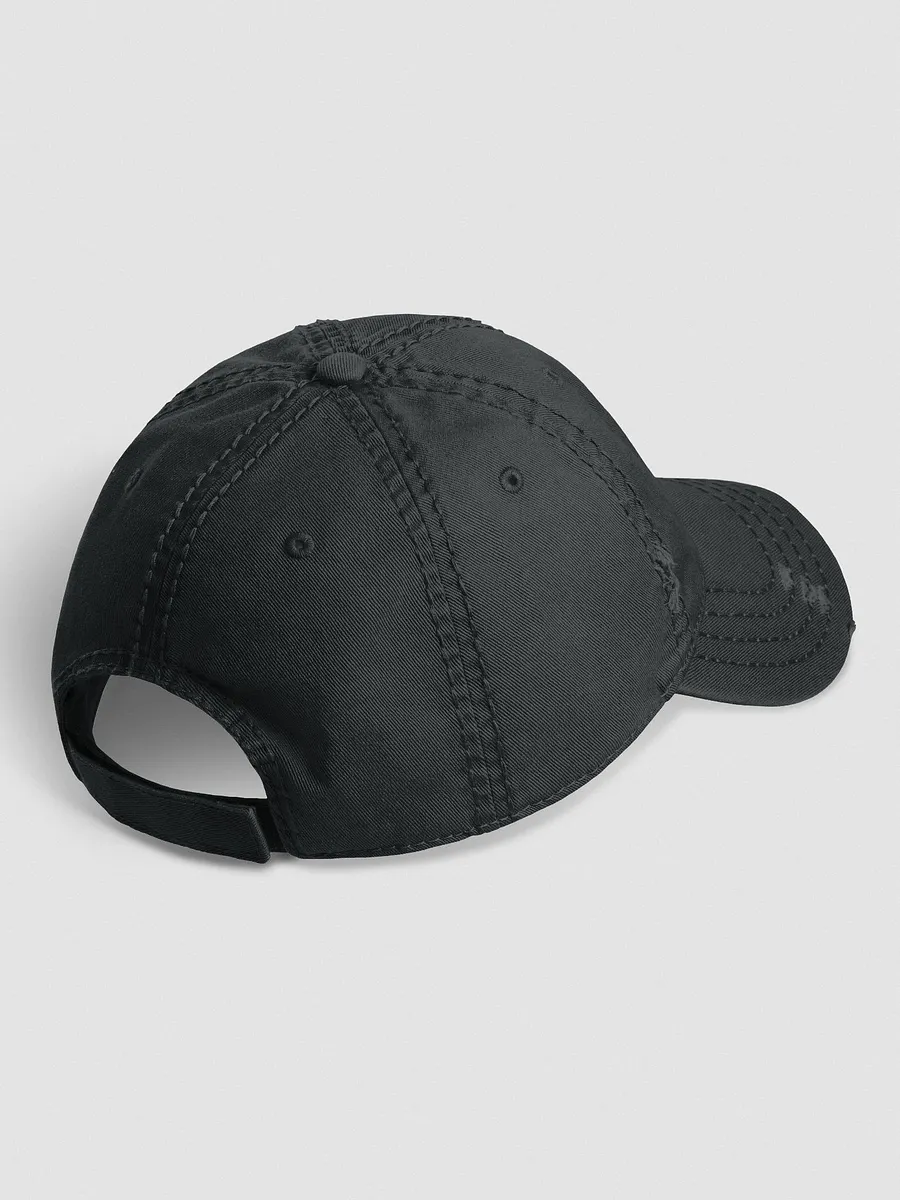 Distressed Cohhilition Dad Hat product image (3)