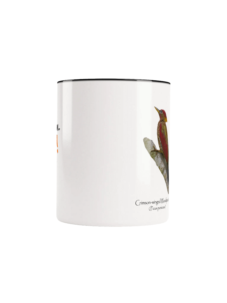 Crimson-winged Woodpecker mug product image (47)