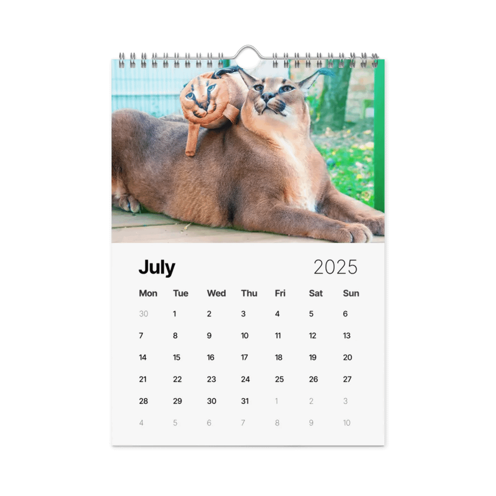 Gosha’s 2025 Wall Calendar (Caracalendar) product image (8)