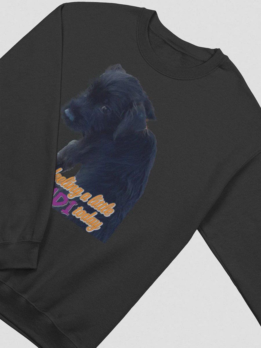 Moudi Sweetshirt product image (18)