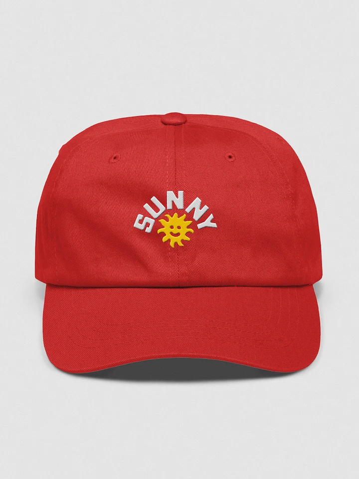 Sunny Hat product image (1)