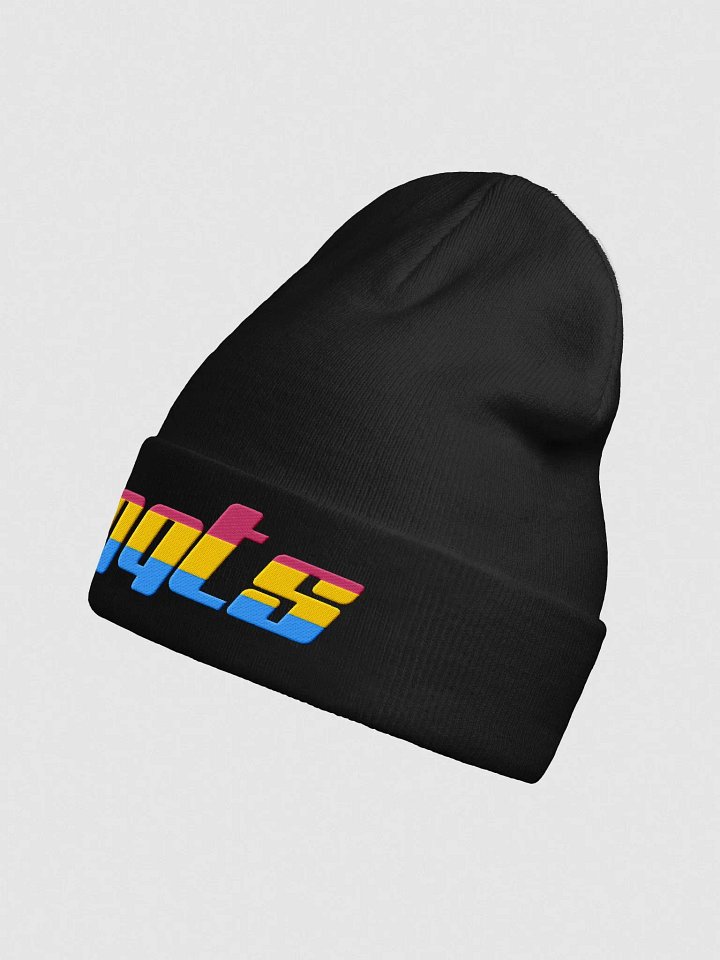 QQts Pansexual Logo Beanie product image (10)