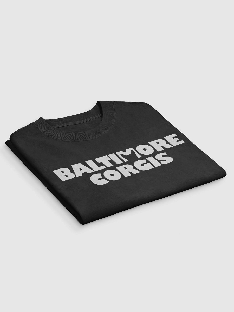 Baltimore Corgis Oversized T-Shirt product image (3)