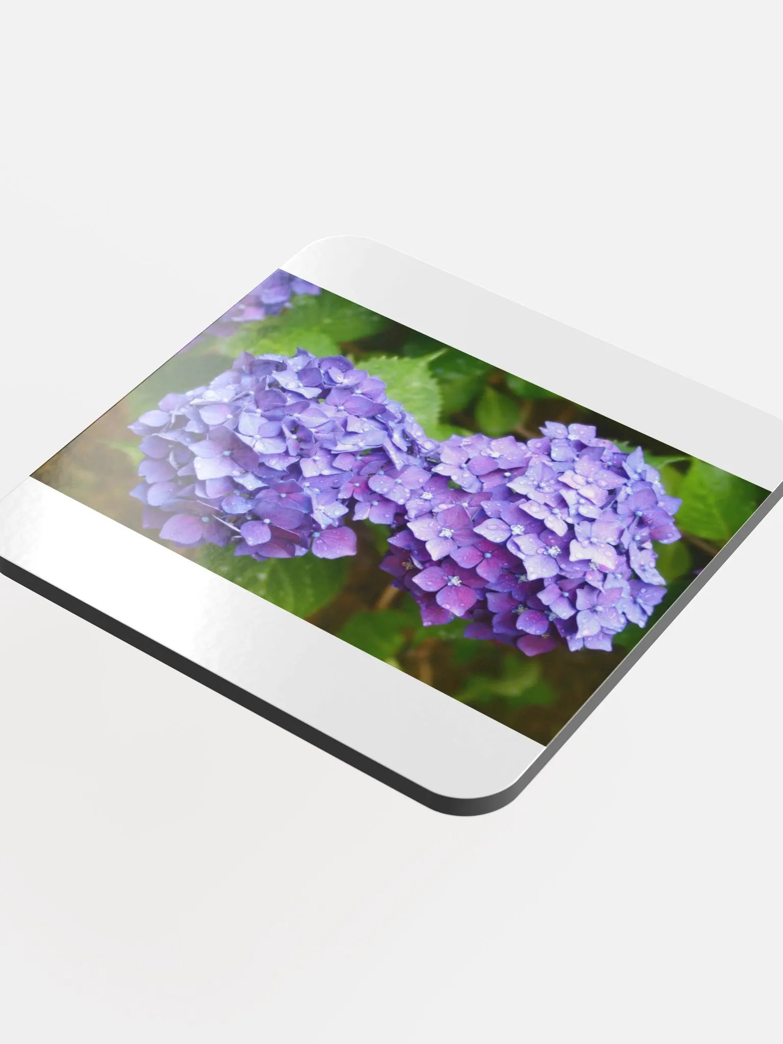 Hydrangeas Coaster product image (4)