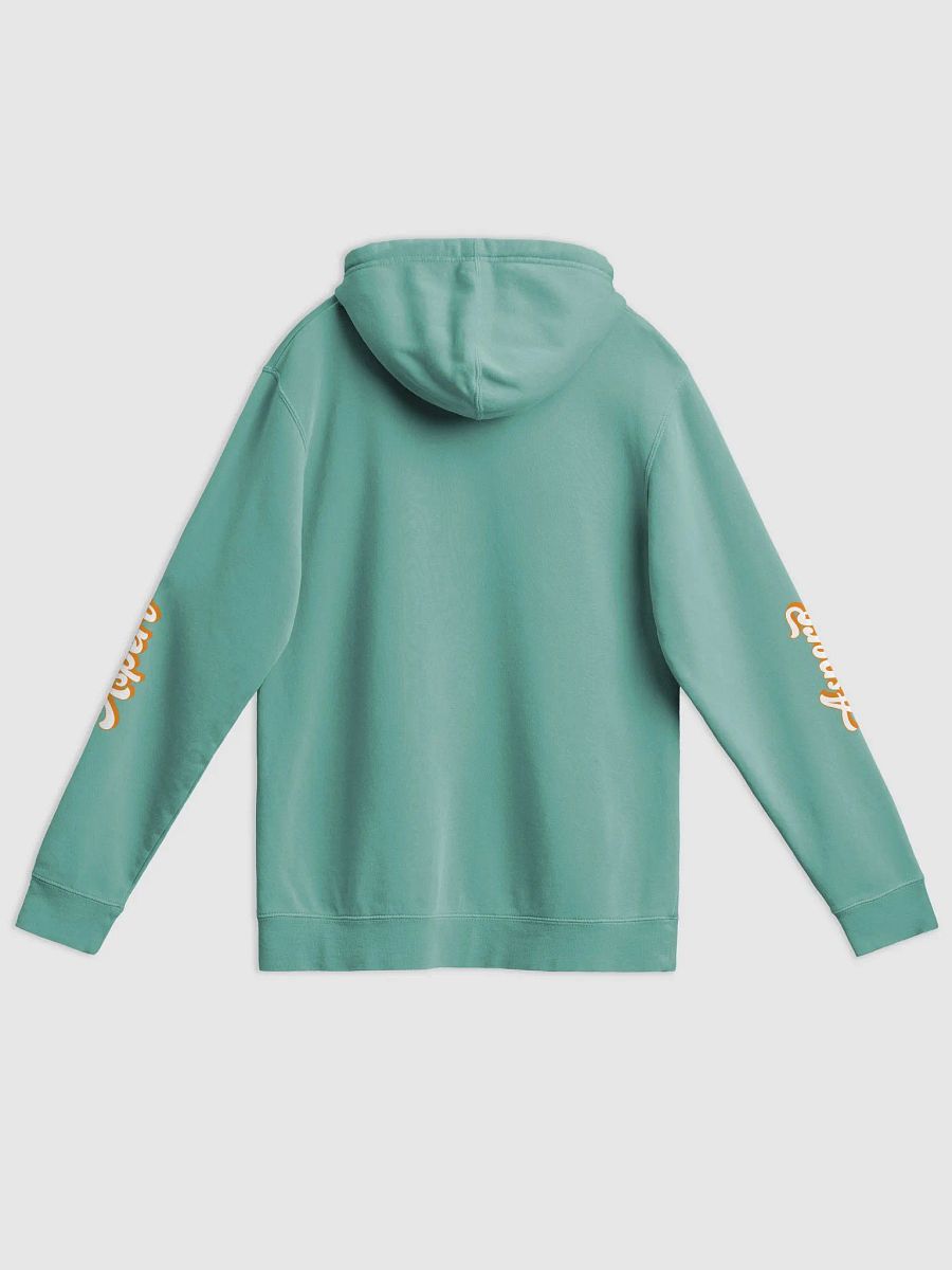 Aspen Stylized Letters Pigment Dyed Hoodie product image (42)