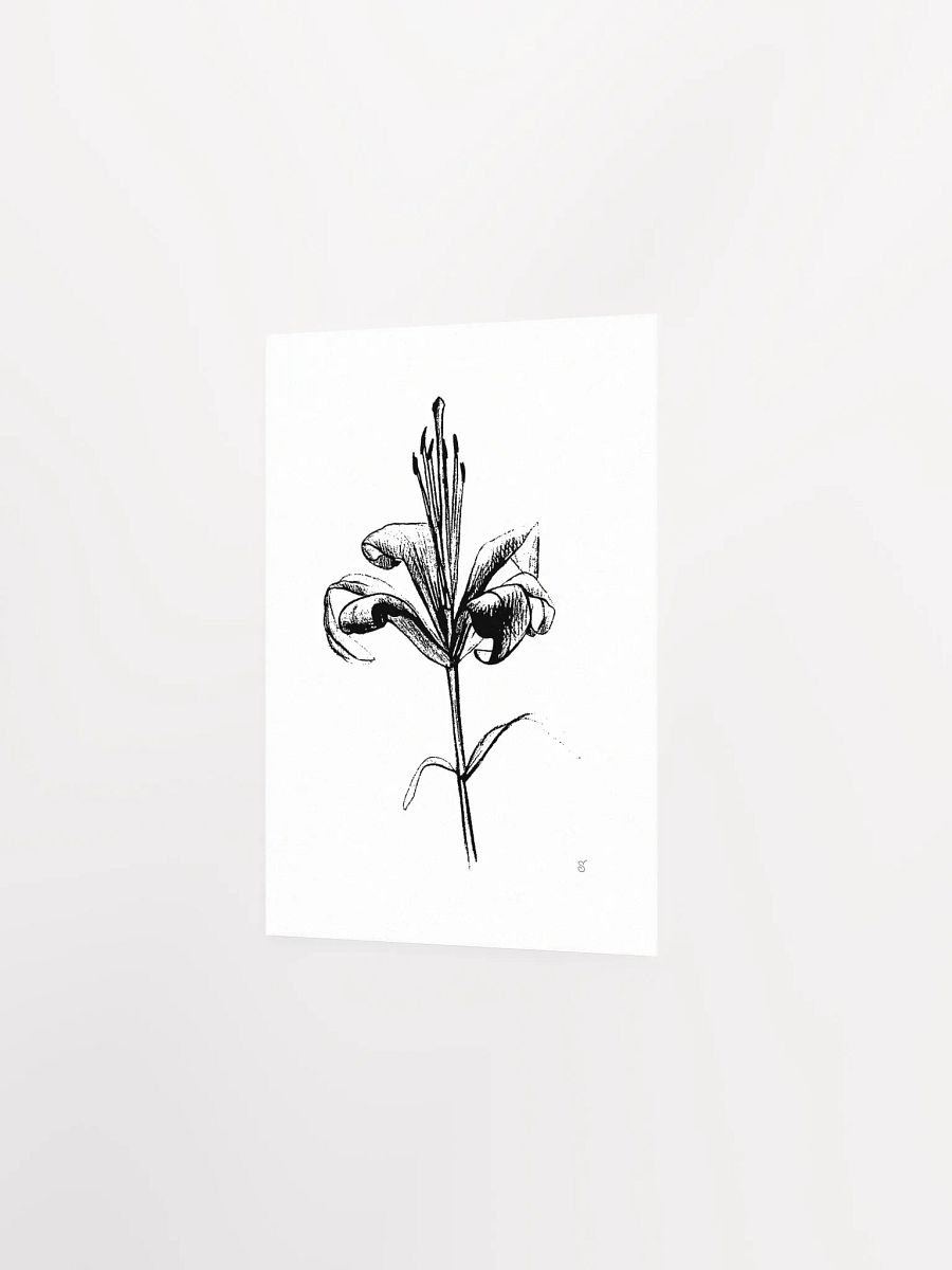 Lily Elegance Poster - Fine Flower Light product image (2)