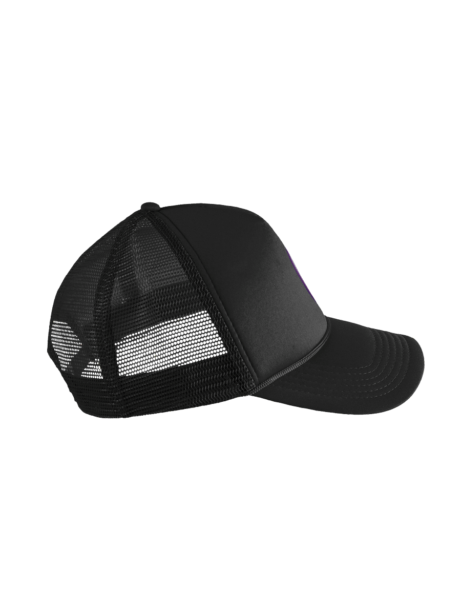 Whiprays Logo Hat product image (3)