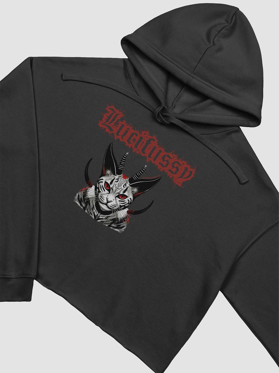 Lucifussy Cropped Hoodie product image (3)