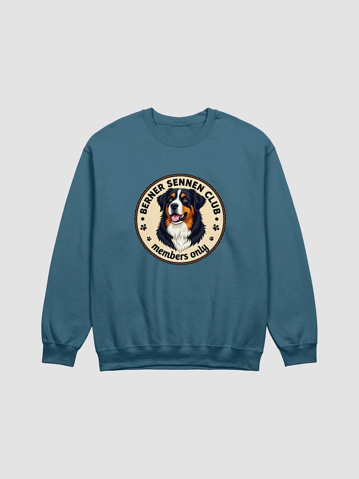 Berner Sennen dog Sweater, no. BS002 product image (10)