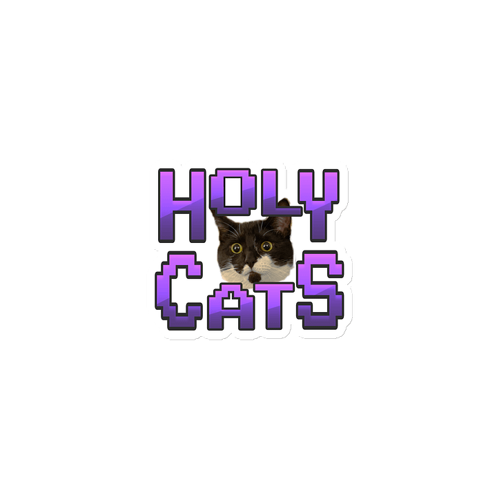 Holy Cats! Magnet. product image (1)