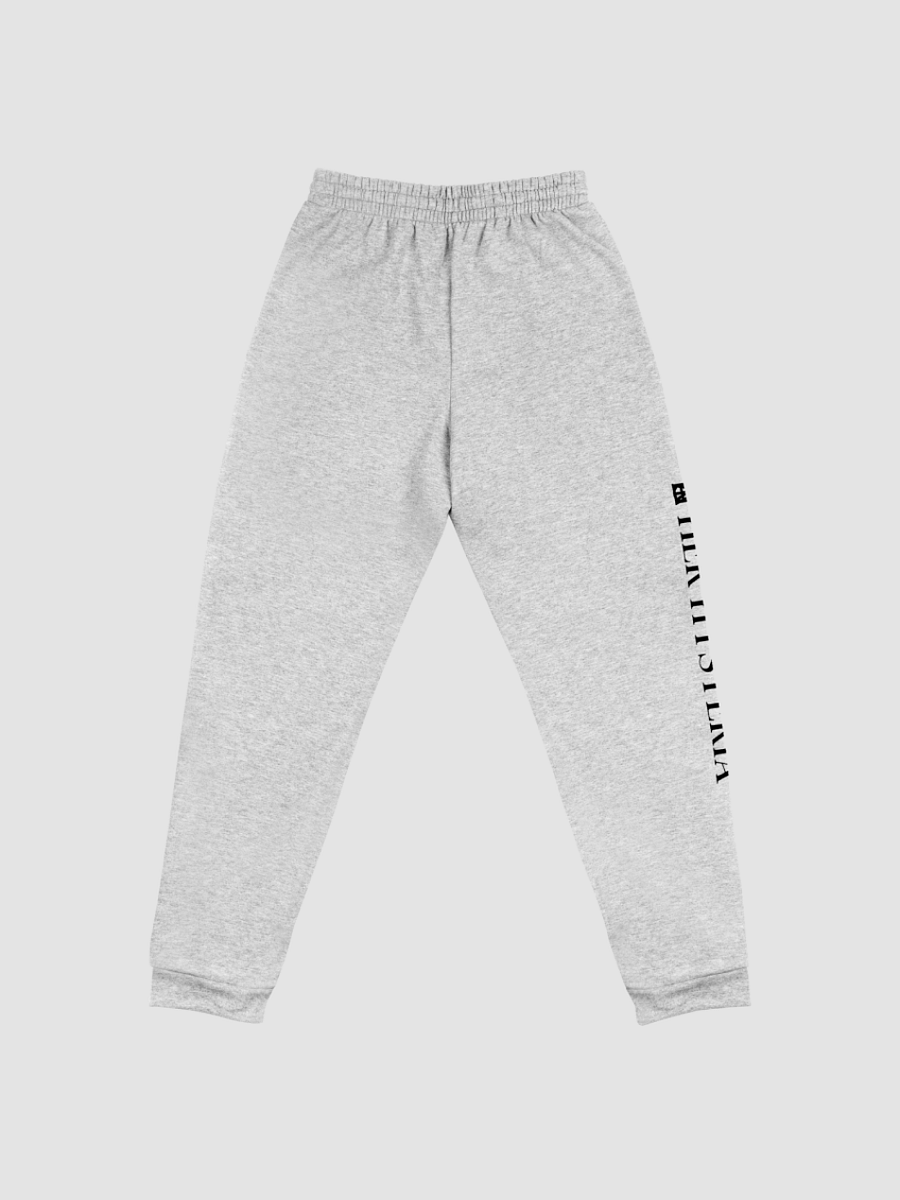 Light Grey Sigil Joggers product image (3)
