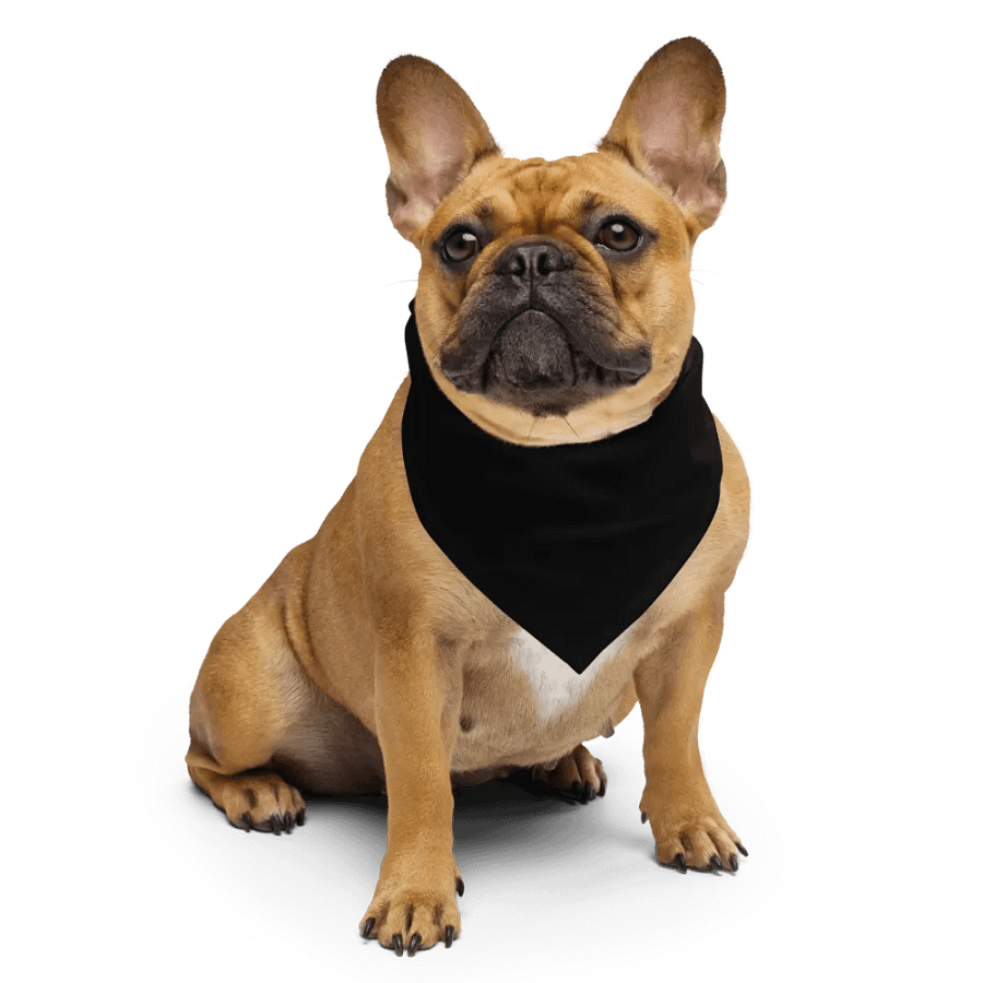 Default All-Over Print Bandana product image (6)