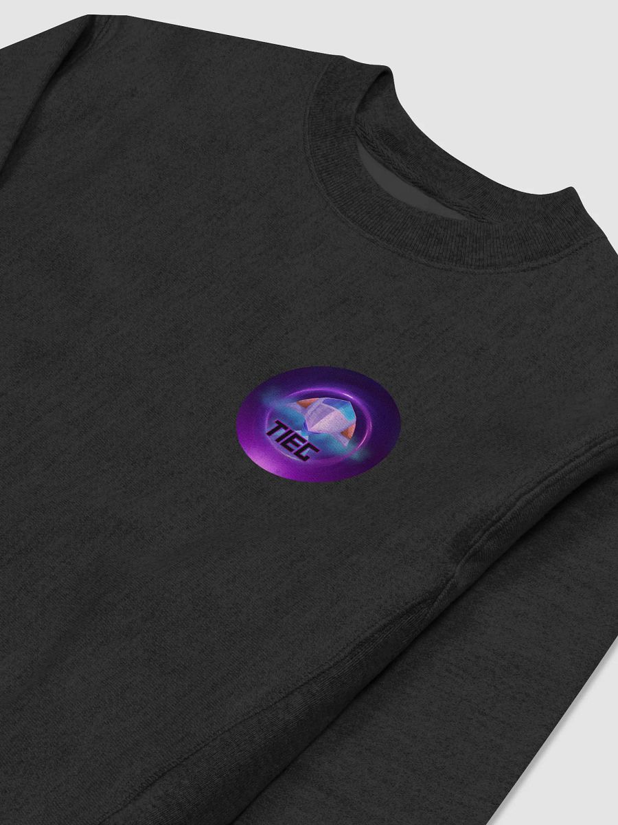 TIEG Creations LTD X Champion Spaceship Sweatshirt product image (3)