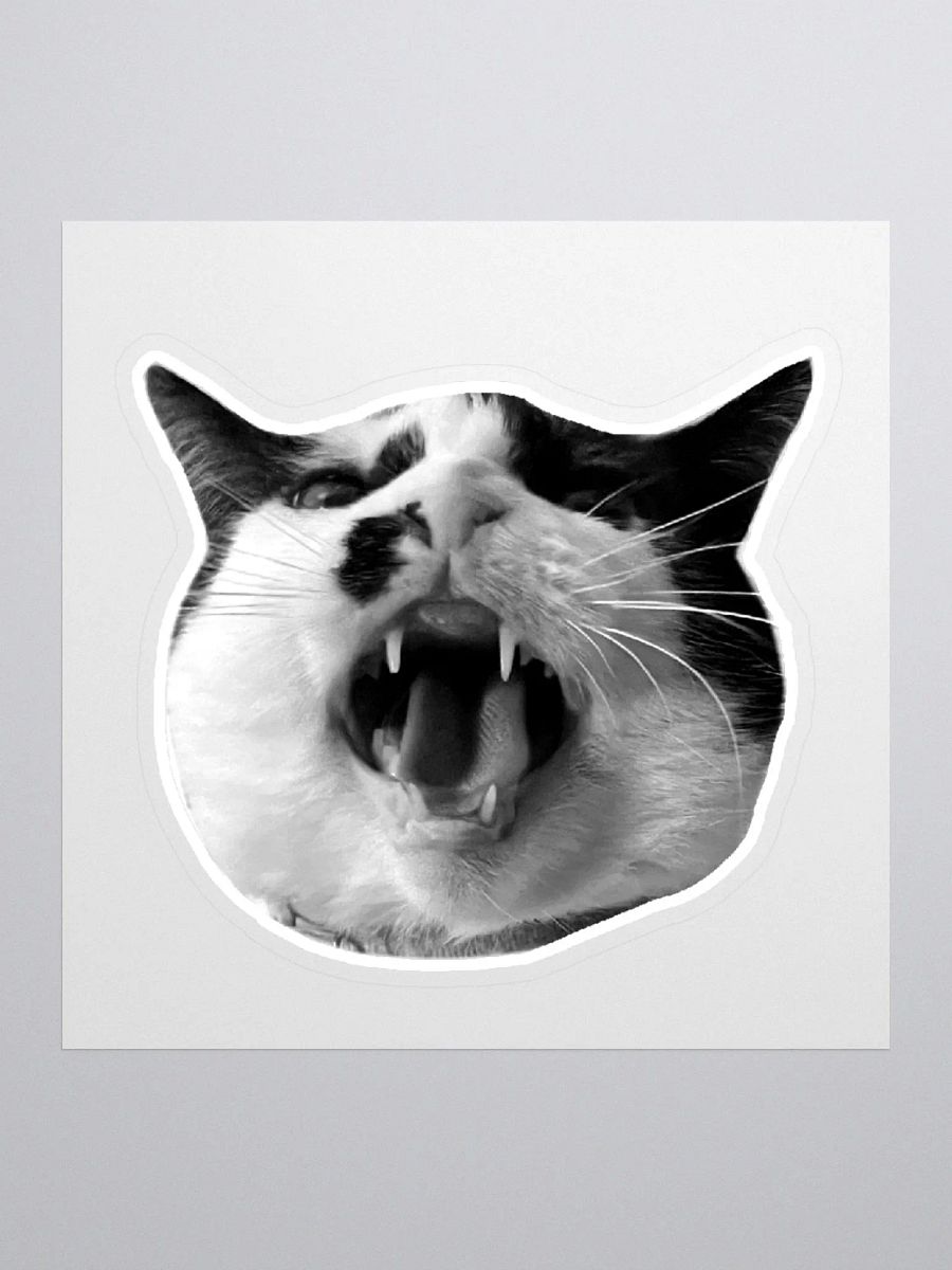 LOIN - Sticker product image (1)