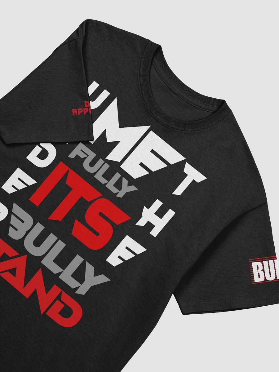 UNDERSTAND FULLY (T-SHRIT ) product image (3)