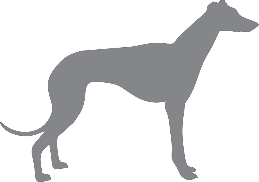 Manequim Galgo - Modelagem Pet PDF product image (1)