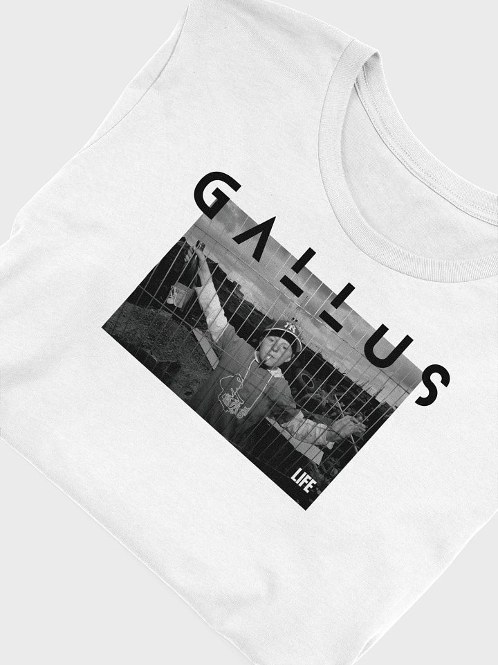 Gallus 2025 Life Collection product image (1)