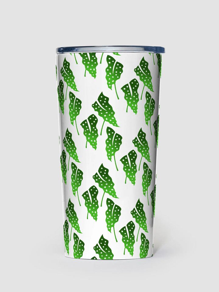 Polka Doted Begonia product image (1)