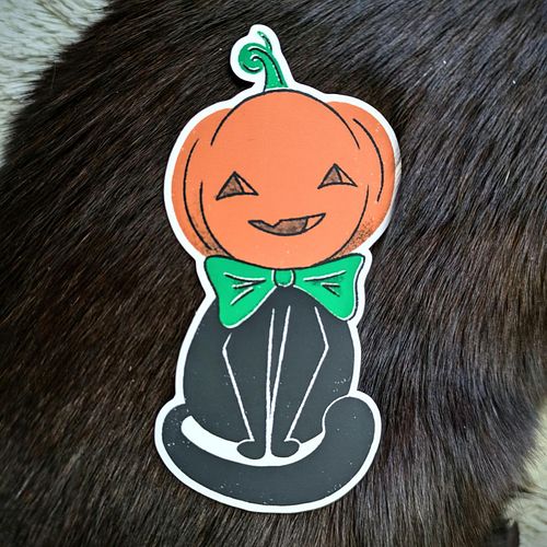 Sticker of the month, modeled by Bing 🐈‍⬛