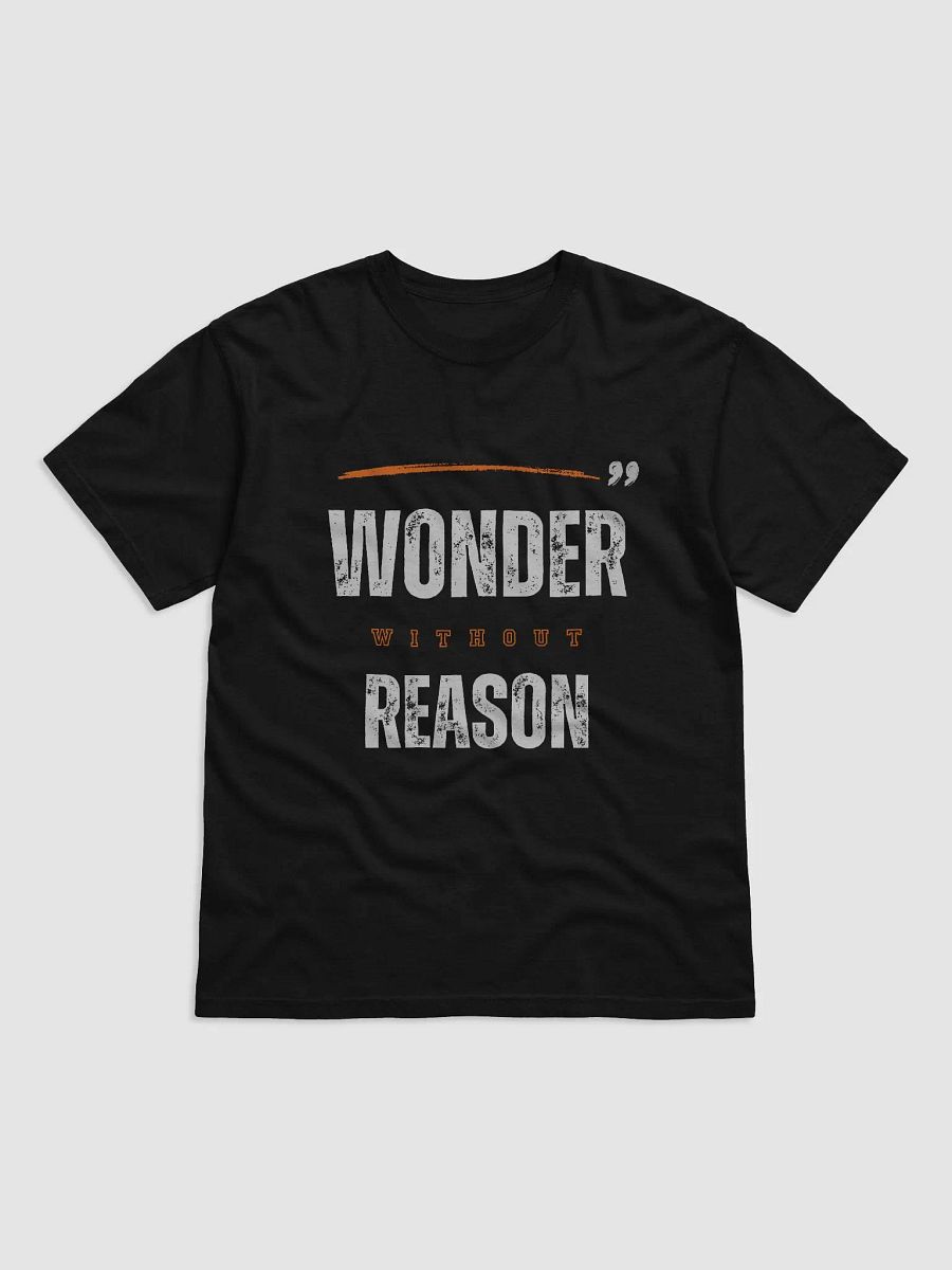 Wonder Reason Distressed Tee product image (1)