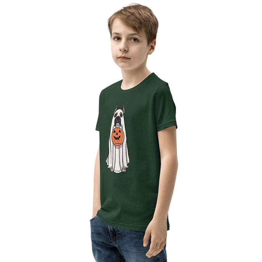 Halloween Boxer(Red, Black Mask, Cropped Ears) Youth T-Shirt product image (15)