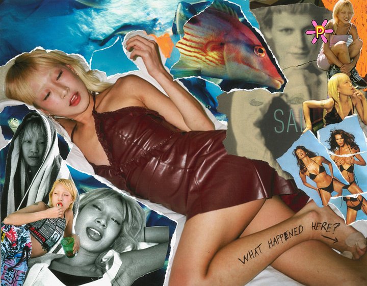 DD Cruise Collage 3 product image (1)