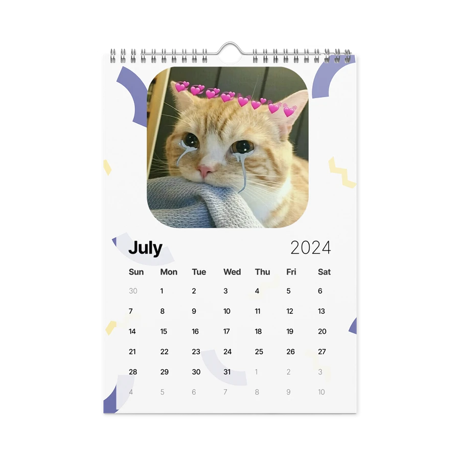 Wall Calendar (2024): Meme Cats product image (10)