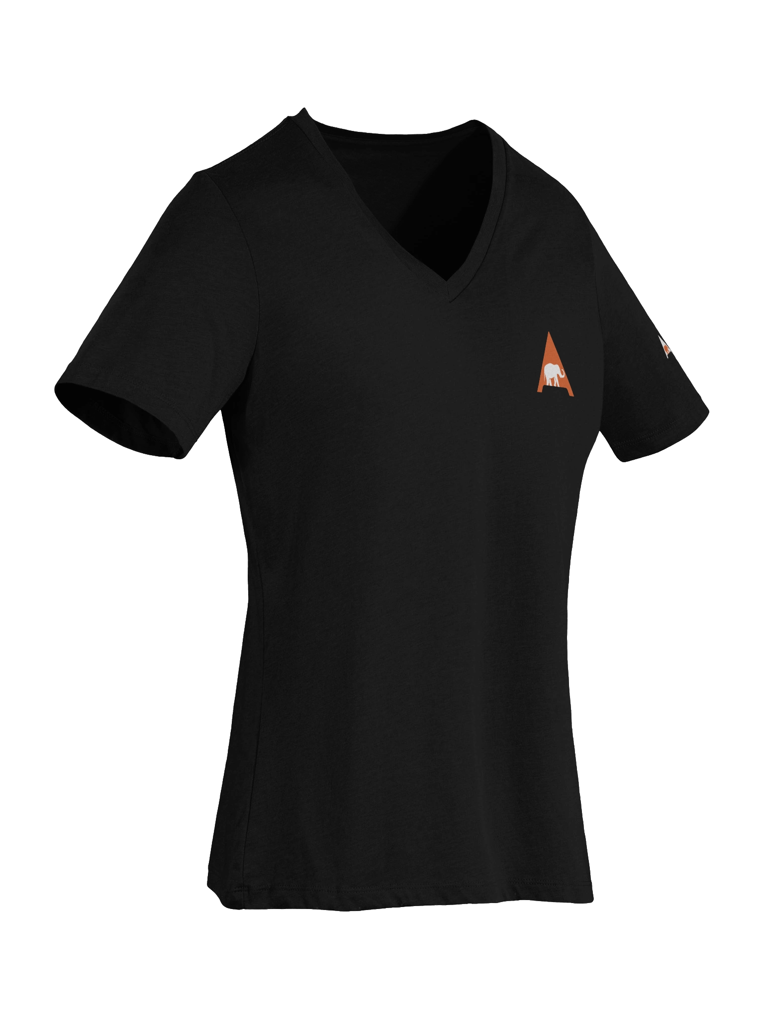 Bella+Canvas v-neck (PHP Architect) product image (2)