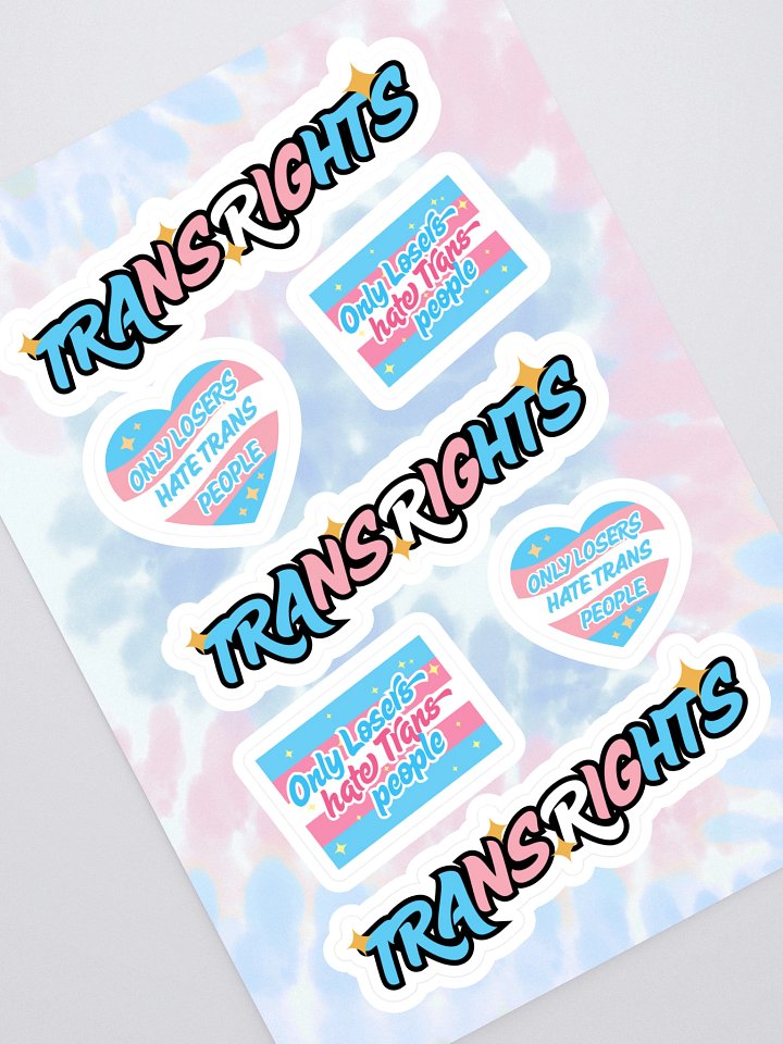 TRANS RIGHTS Sticker Sheet product image (1)