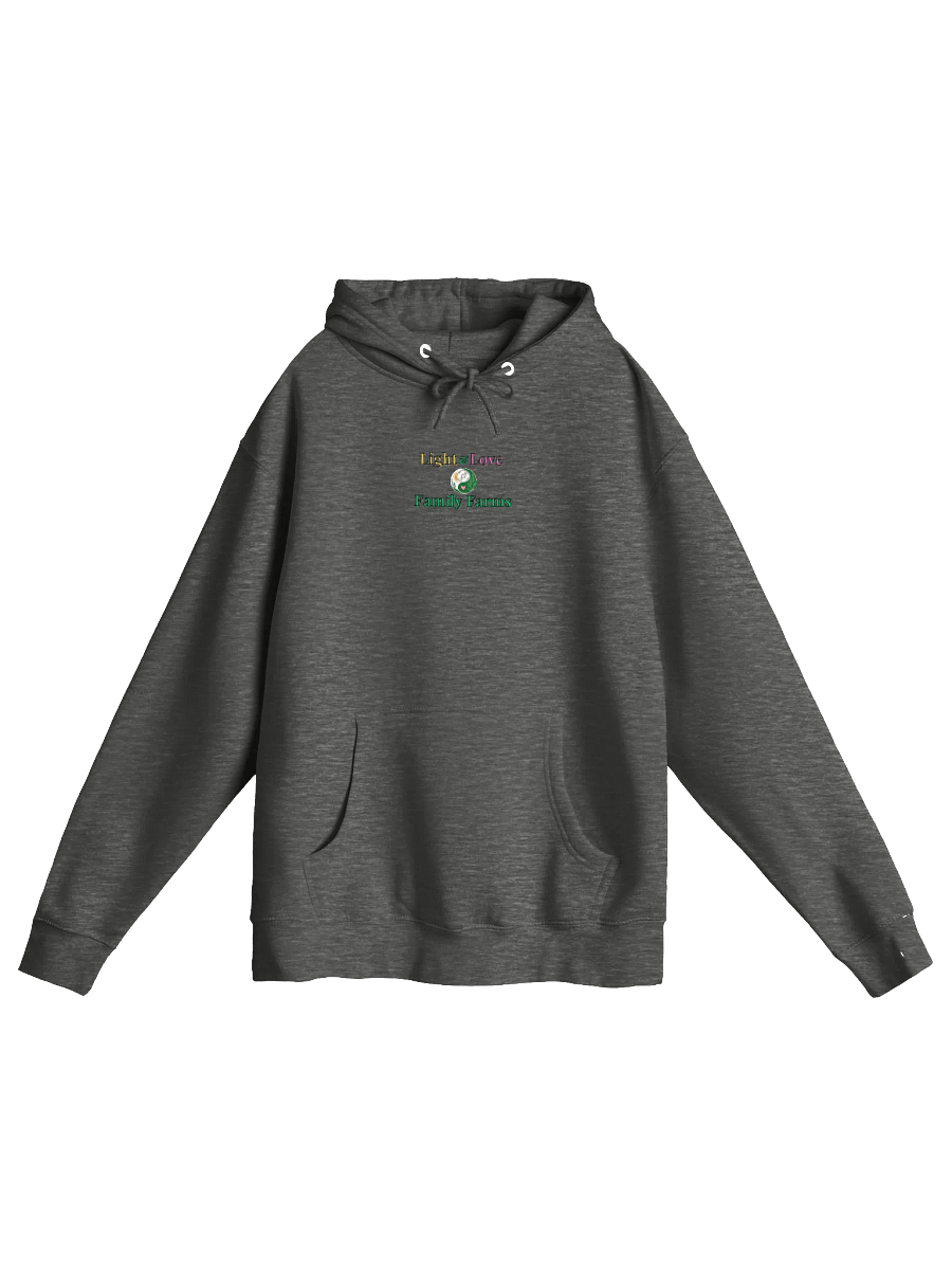 Light & Love Hoodie: Abstractly Speaking of Expressionism product image (3)