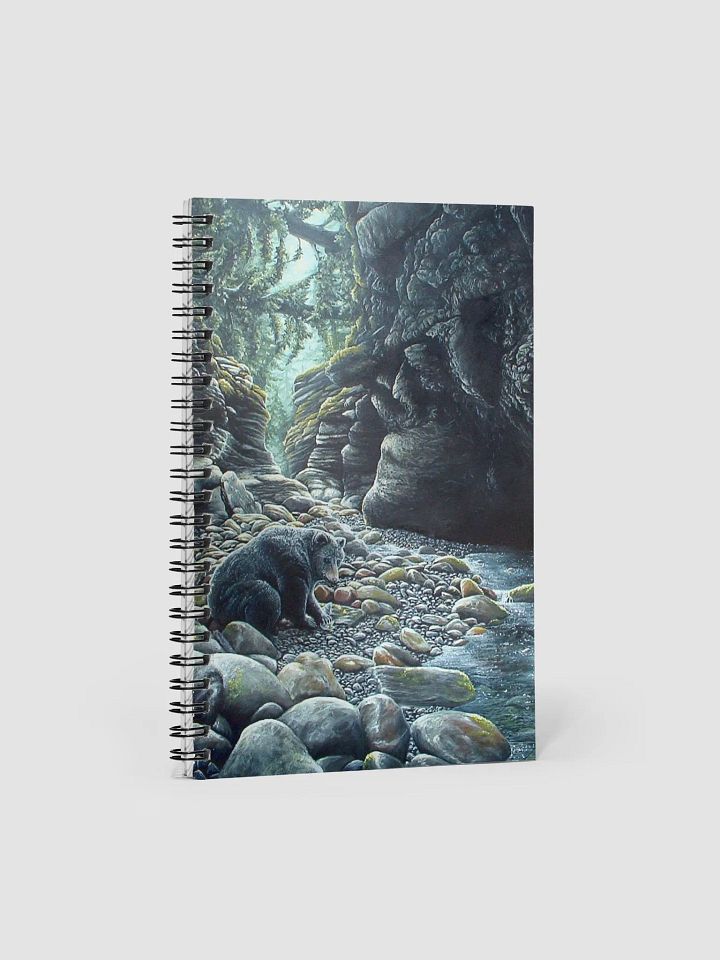 Solitude black bear/ours noir product image (2)