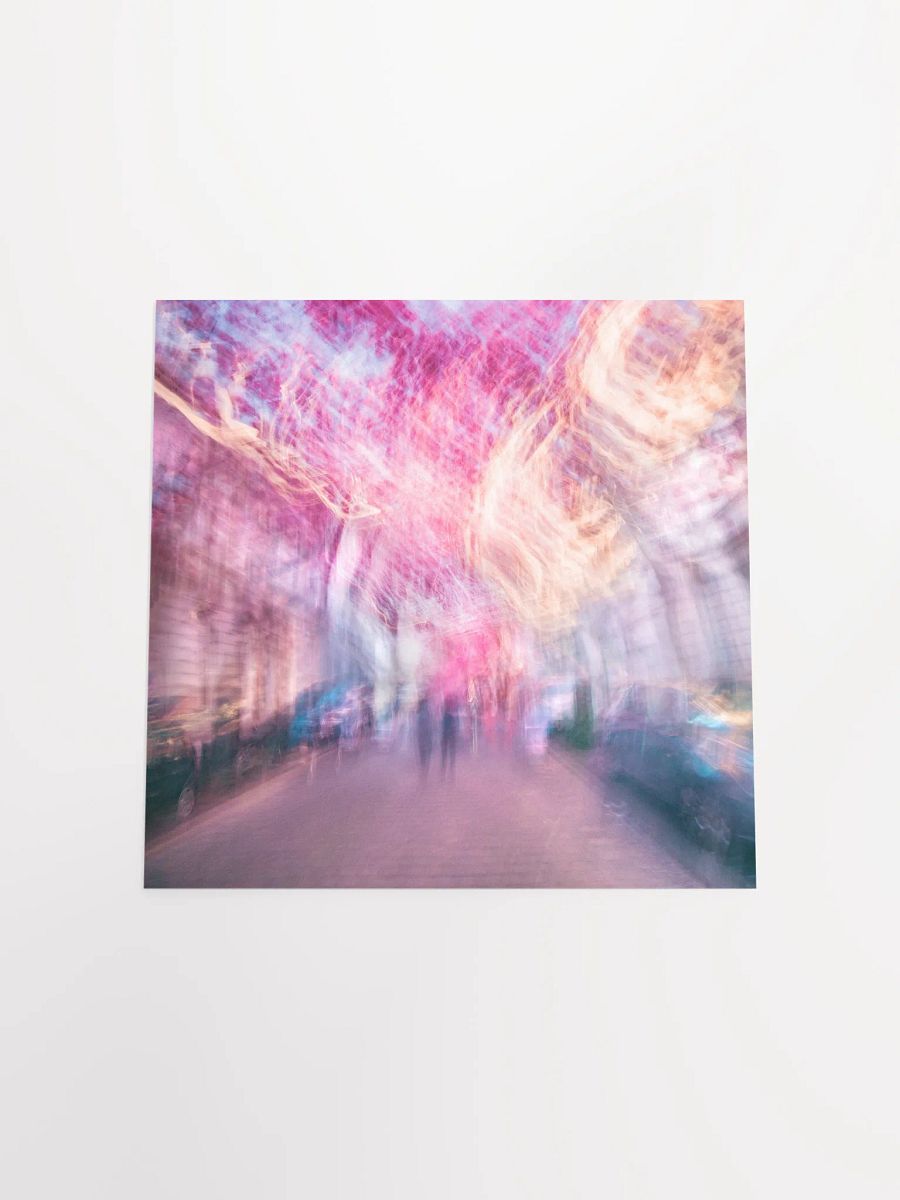 Pink Sky - Cherry Blossoms - Print product image (5)