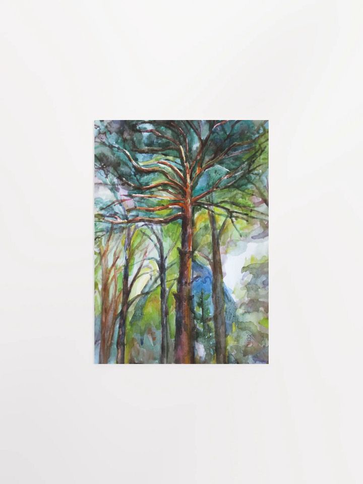 Enchanted Forest Watercolor Poster - Dacha Pine product image (1)