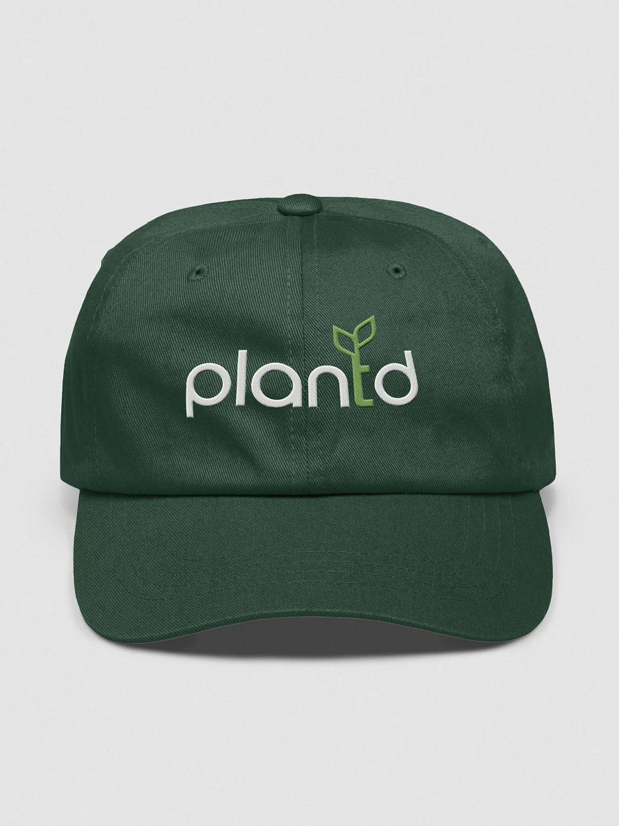 Plantd Dad Hat - Green product image (3)