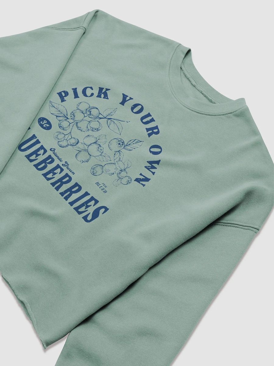 PYOB (Blue) Cropped Hoodie product image (3)