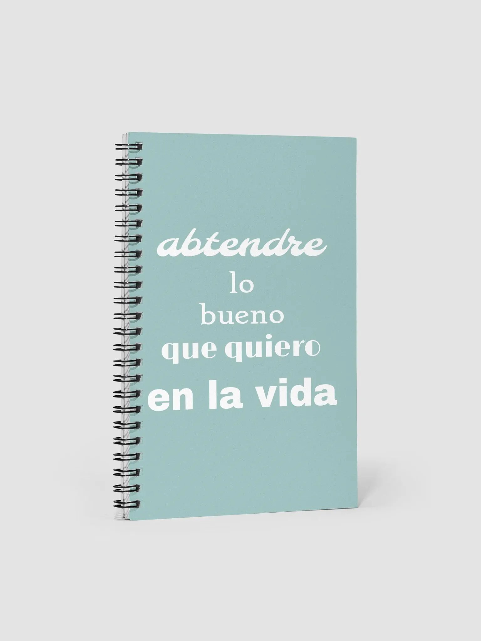 The Good I Want Journal (Spanish) Mint Green product image (1)