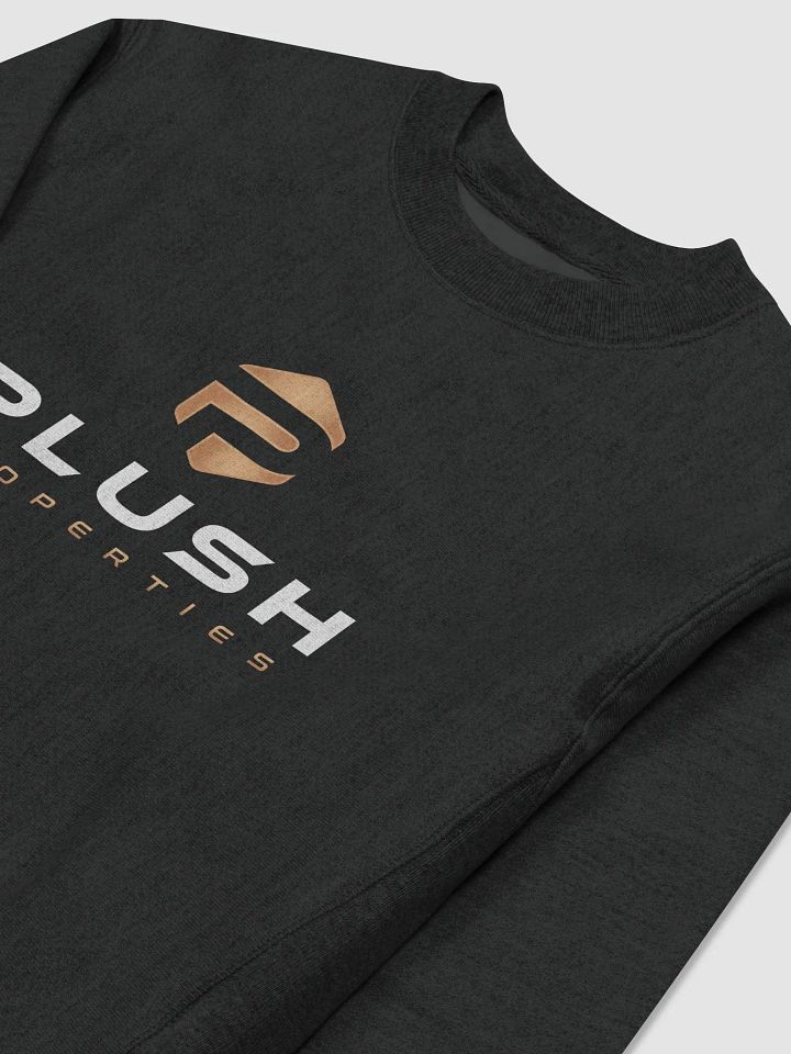 Plush Cotton Max Sweatshirt by Champion product image (2)