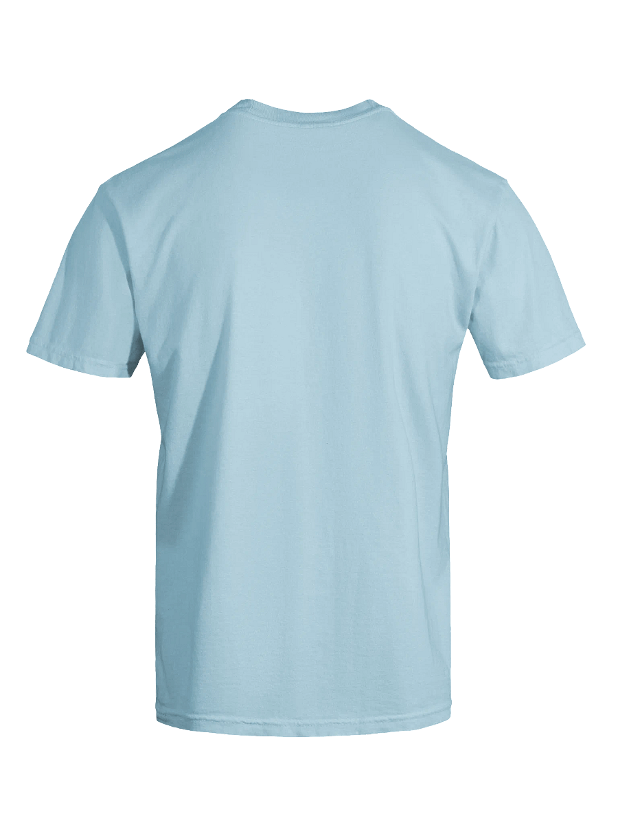 Embroidered Logo T-Shirt - Chambray product image (3)